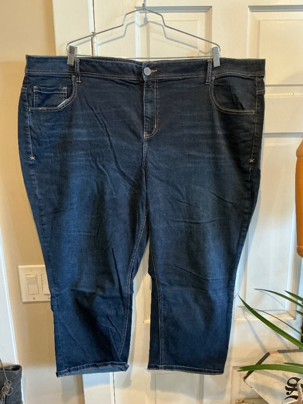 Lane Bryant plus size 28w jeans